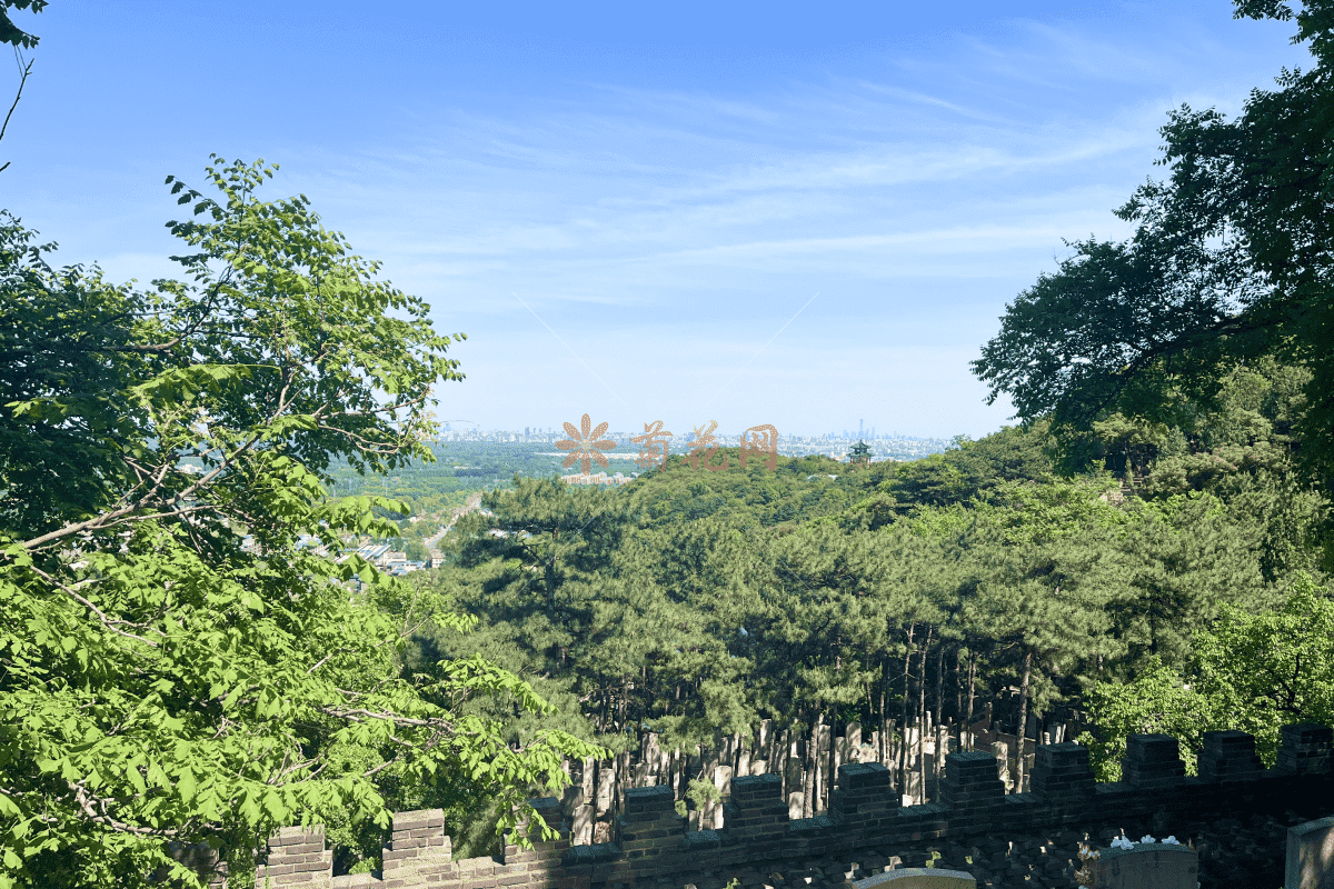 金山陵园环境3