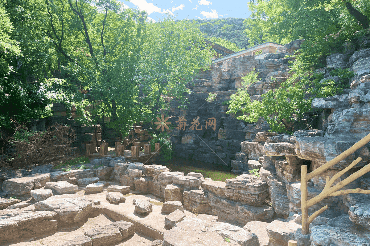 金山陵园环境5