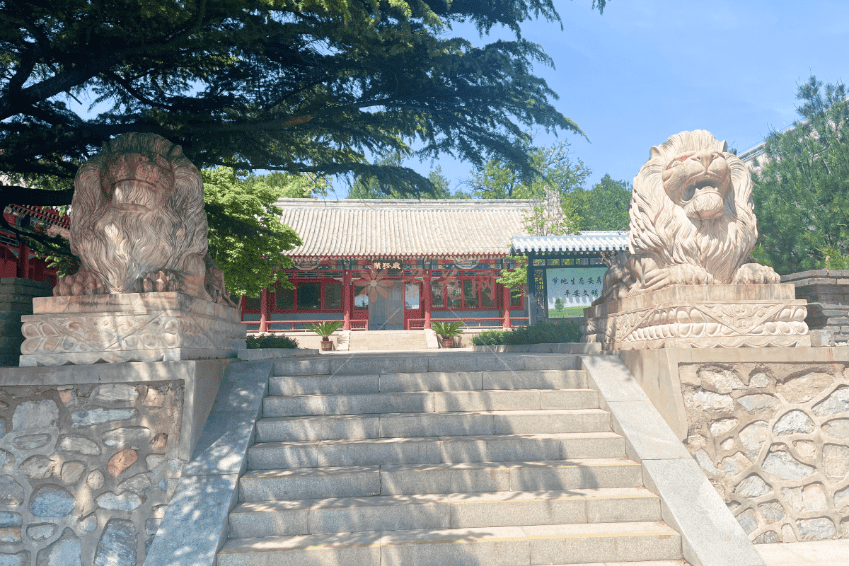 金山陵园环境7